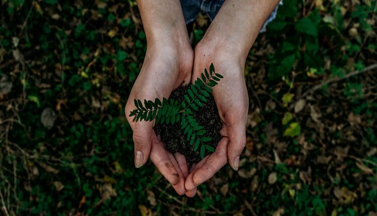 Carbon Footprint